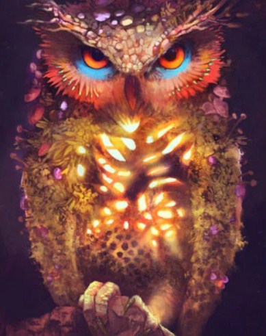 Owl's Magic Paint by Diamonds