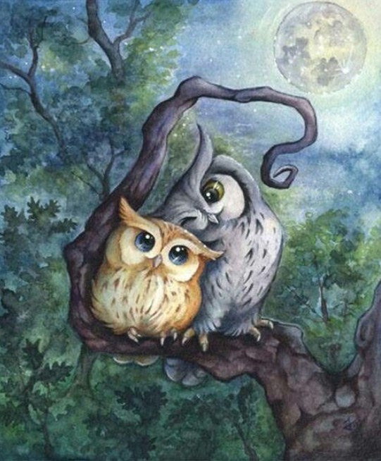 Owls in Love Paint by Diamonds