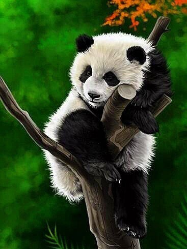 Panda sleeping on a tree diamond painting kit by All Diamond Painting