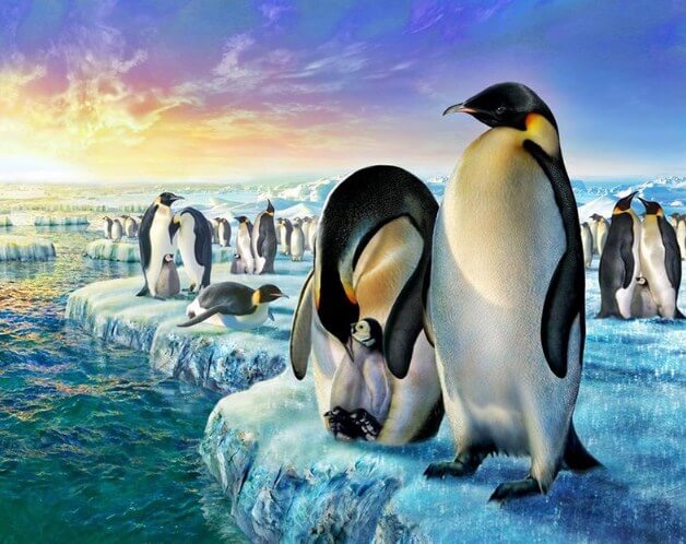 Penguins Paint by Diamonds