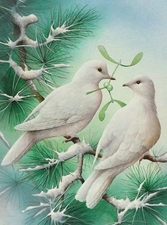 Pigeons Pair Diamond Painting Kit
