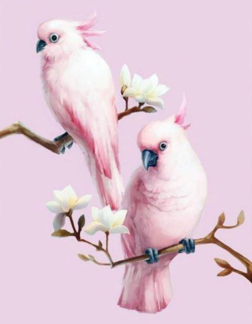 Pink Cockatoos Pair Paint by Diamonds
