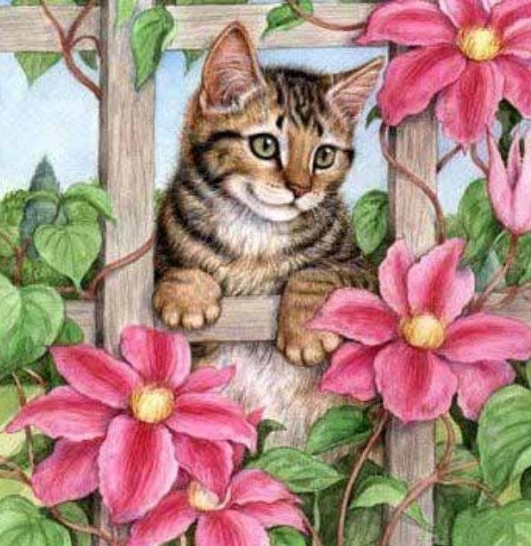 Pink Flowers & Spying Cat Diamond Painting