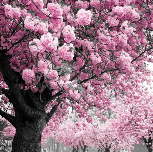Tree DIY Diamond Painting