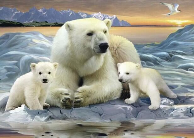 Polar Bears Paint by Diamonds