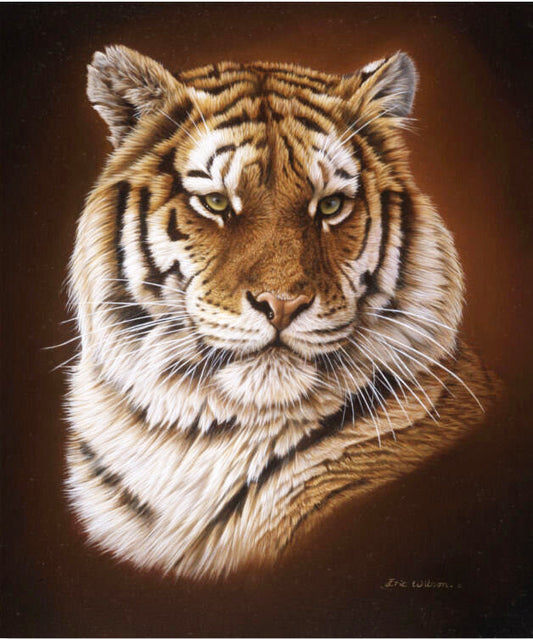 Royal Bengal Tiger Portrait