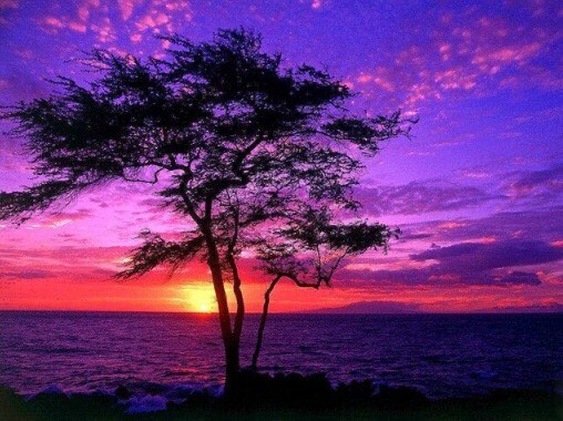 Sunset Landscape Paint by Diamonds