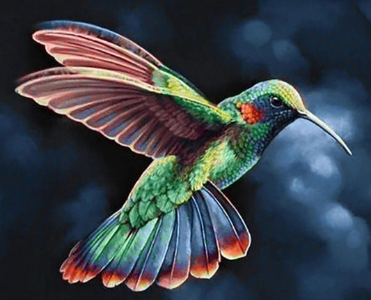 Humming Bird DIY Painting Kit