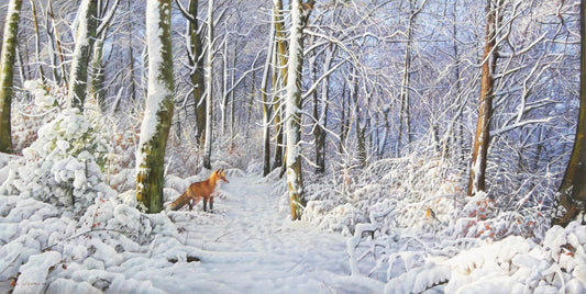 Fox and Robin