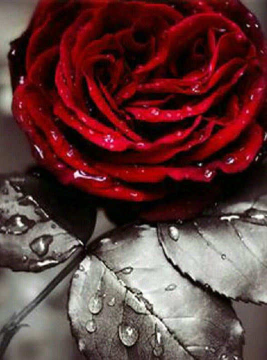 Rose DIY Diamond Painting