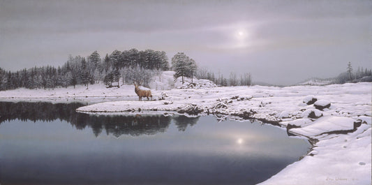 Painting of Glen Affric