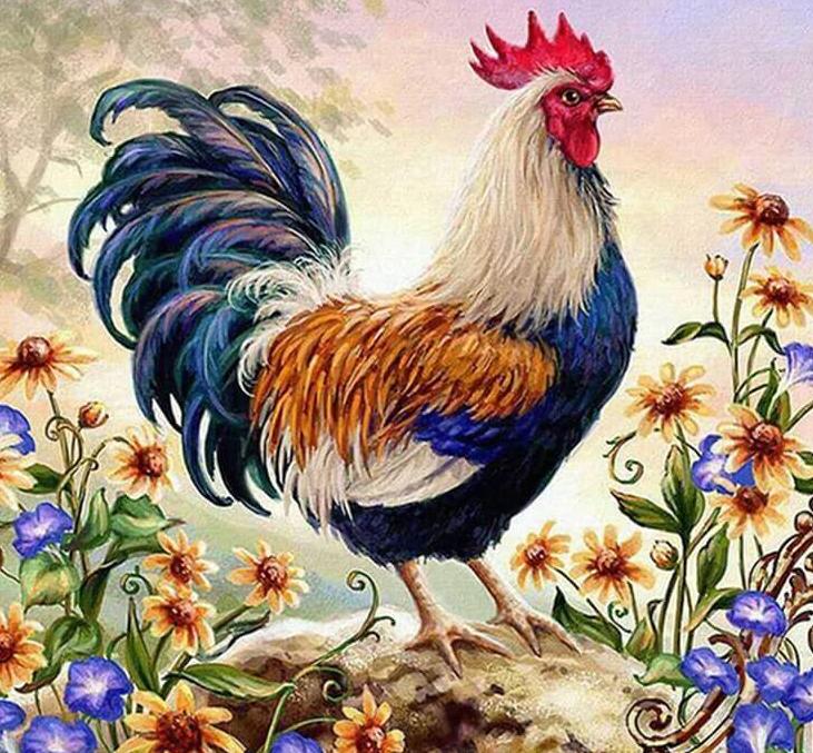 Rooster Diamond Painting