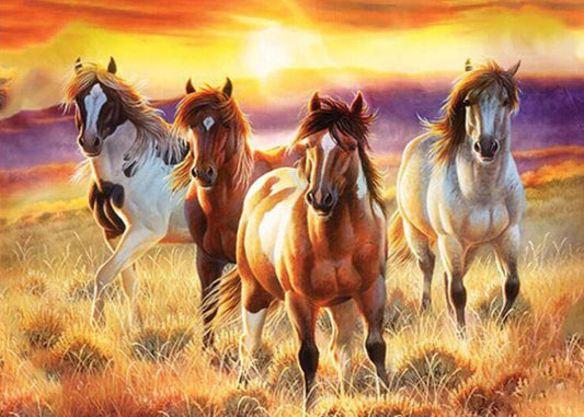 Setting Sun & Beautiful Horses Diamond Painting