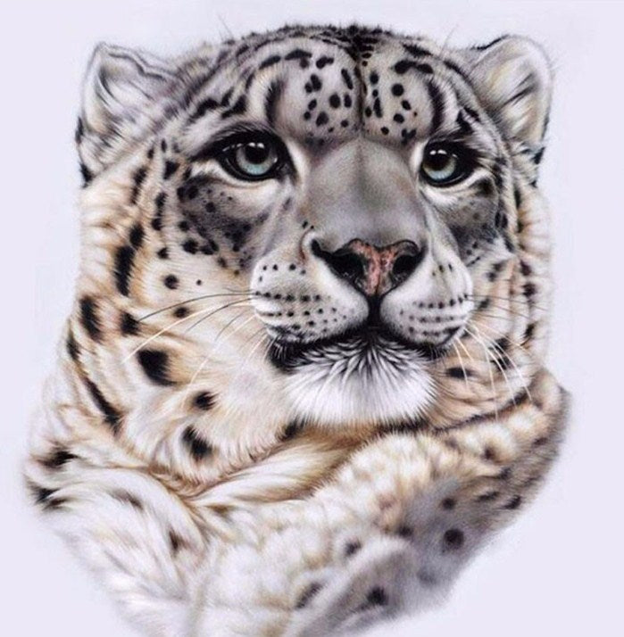 Snow Leopard Face Paint by Diamonds
