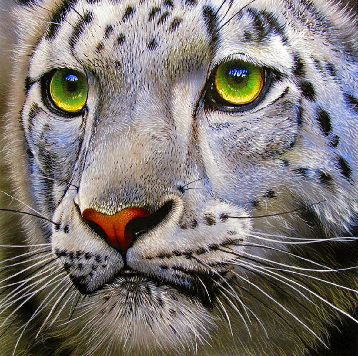 Snow Leopard with Green Eyes Diamond Painting