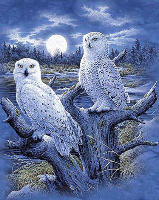 Snow Owls Pair Paint by Diamonds