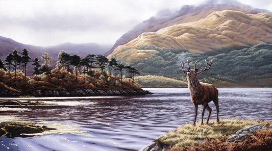 Loch Sun art Stag