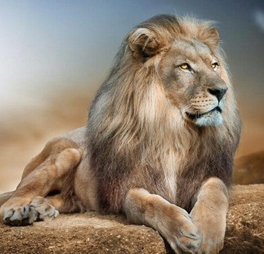 Lion DIY Diamond Painting