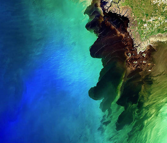 Suwanee Backwater River Meets the Sea Diamond Painting