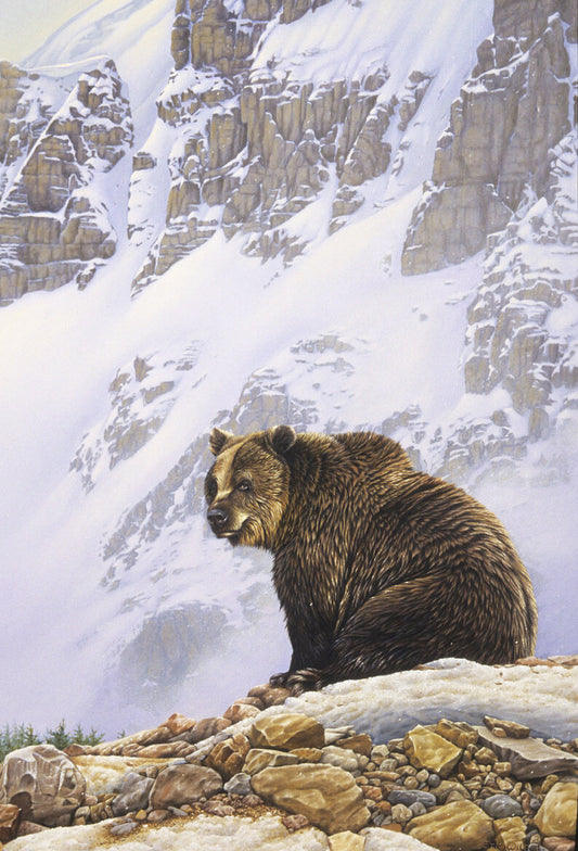 The Himalayan Brown Bear