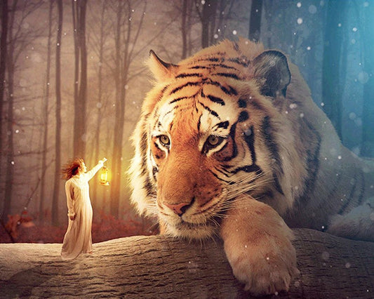 Best 5D Diamond Painting