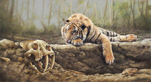 Tiger Laying near skeleton