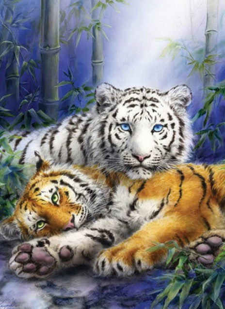 White & Brown Tigers Paint by Diamonds