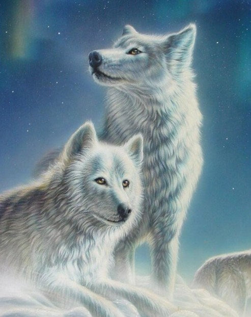White Wolves Pair Paint by Diamonds