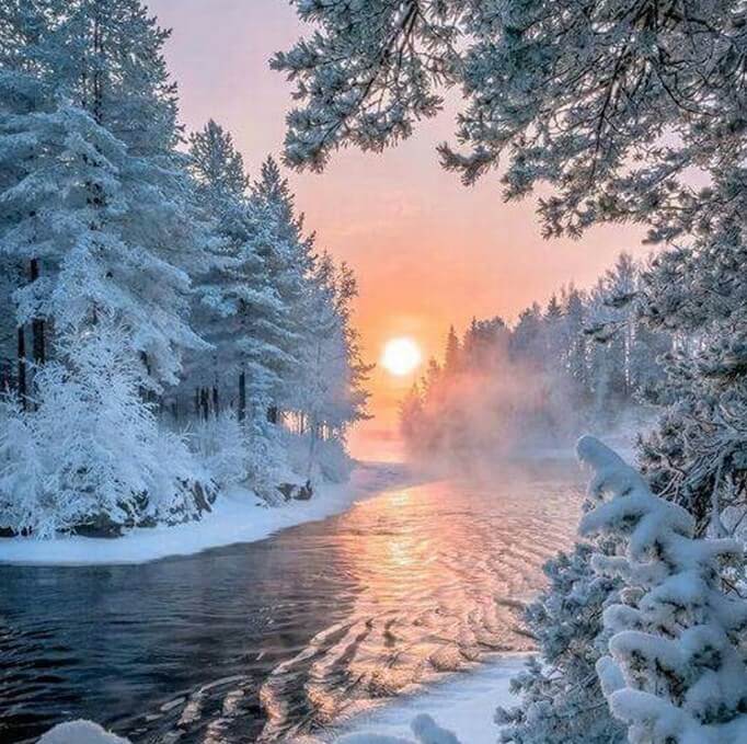 Winter Trees & Sunset