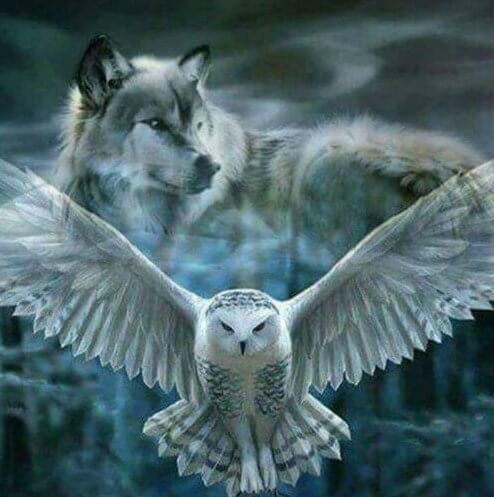 Owl & Wolf Diamond Painting