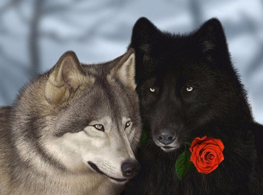 Wolves & Red Rose Paint by Diamonds