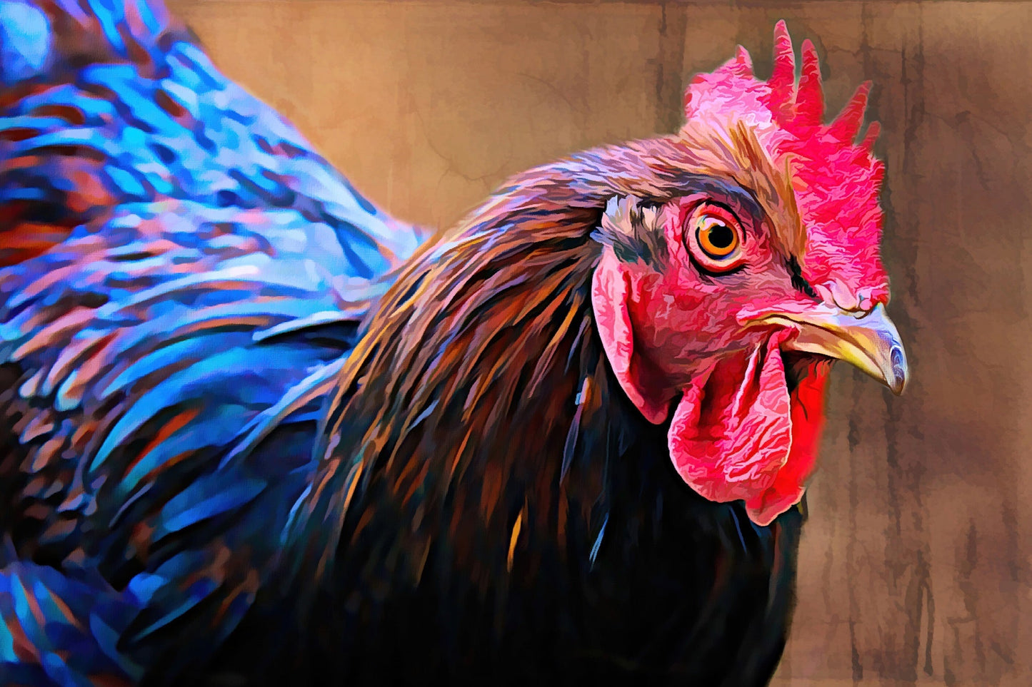 Australorp Chicken - Art by Denise Dundon