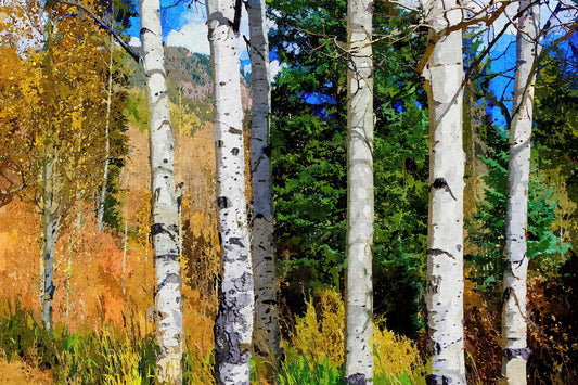 Hillside Aspen Grove