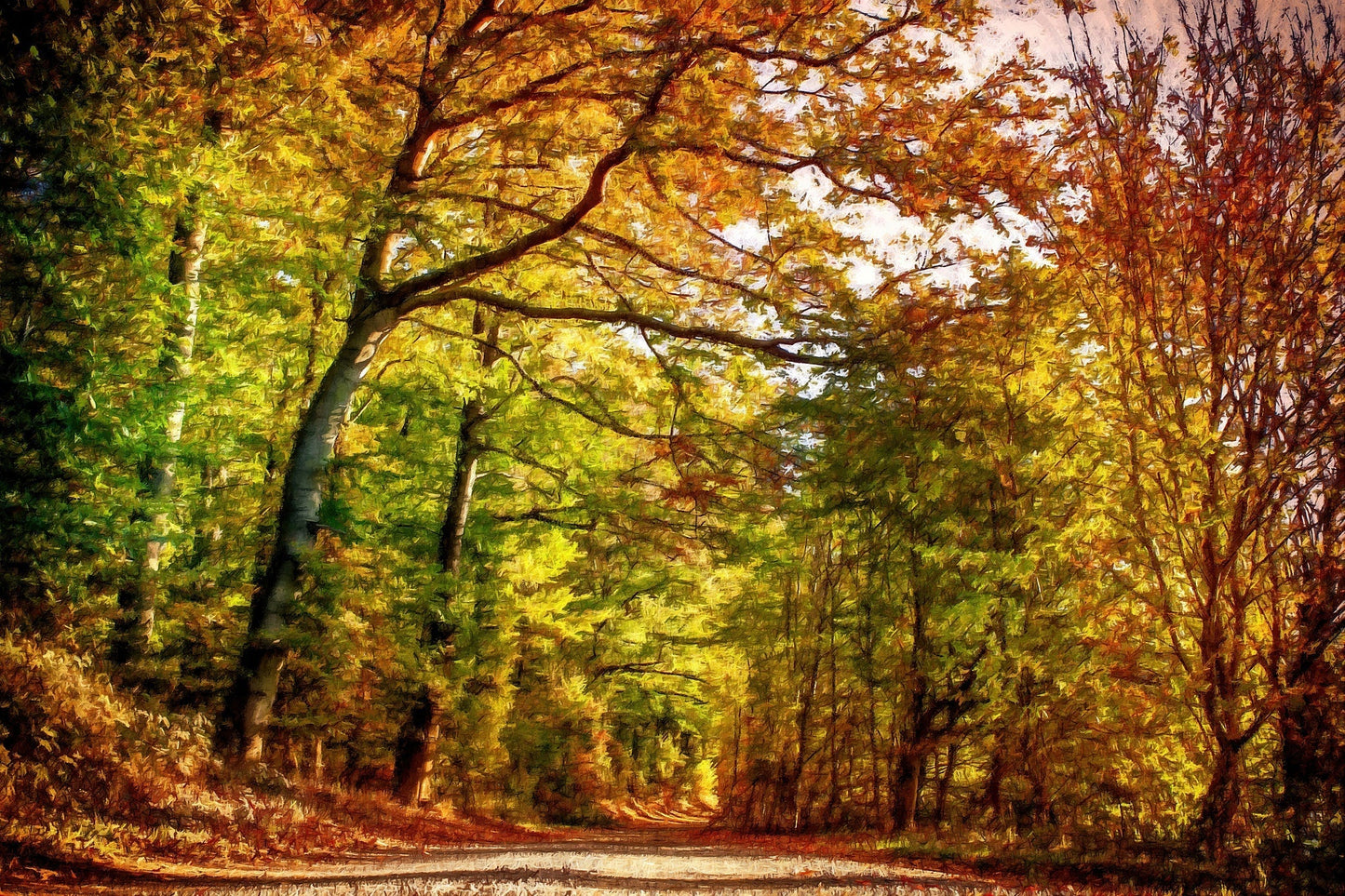 Pathway Through Autumn Leaves