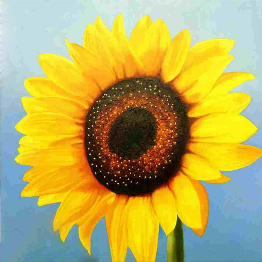 Single Sunflower - 5D Diamond Painting - DiamondByNumbers - Diamond  Painting art