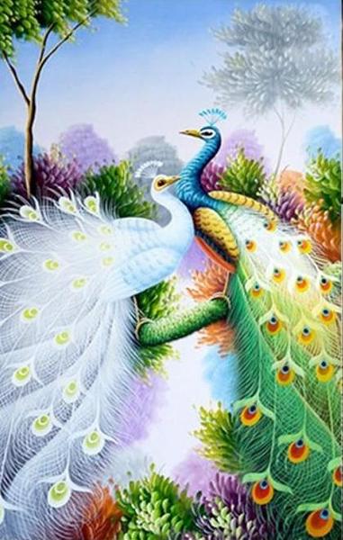 Peacocks Diamond Painting