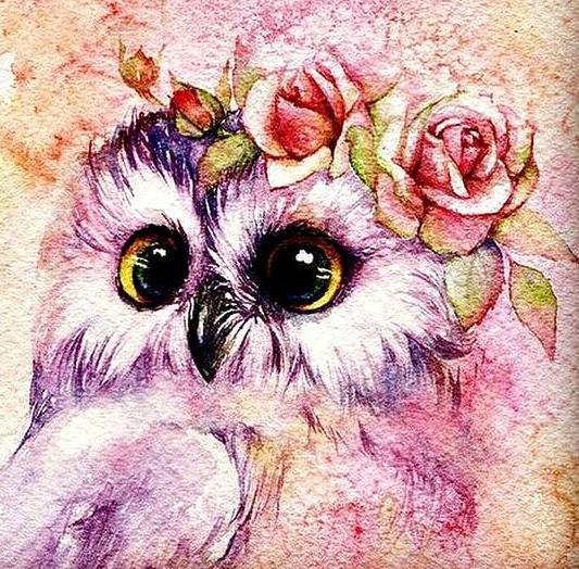 Cute Owl with Flower Crown
