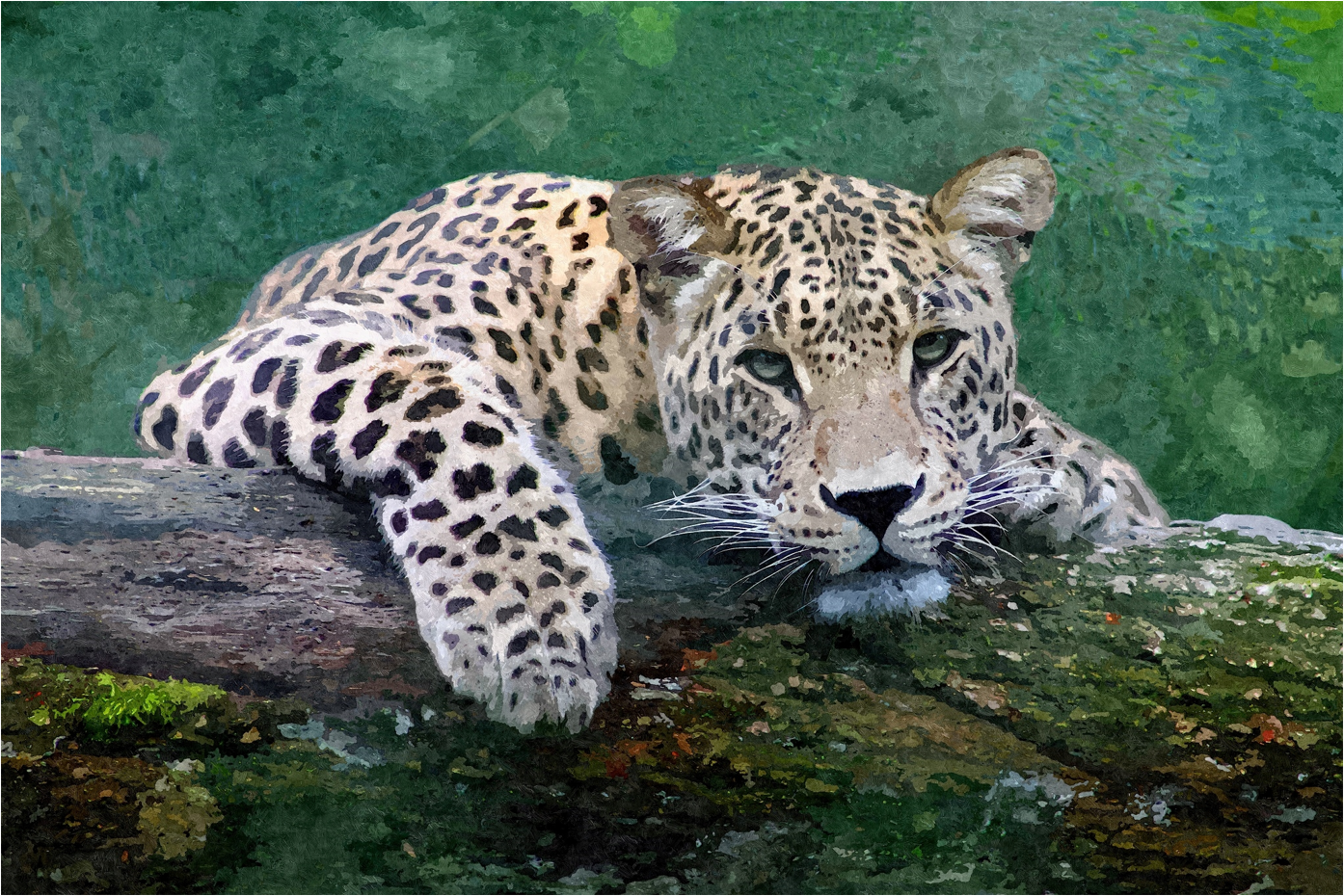 Snow Leopard - Art by Denise Dundon