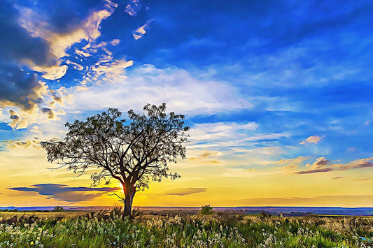 Solitary Tree At Sundown